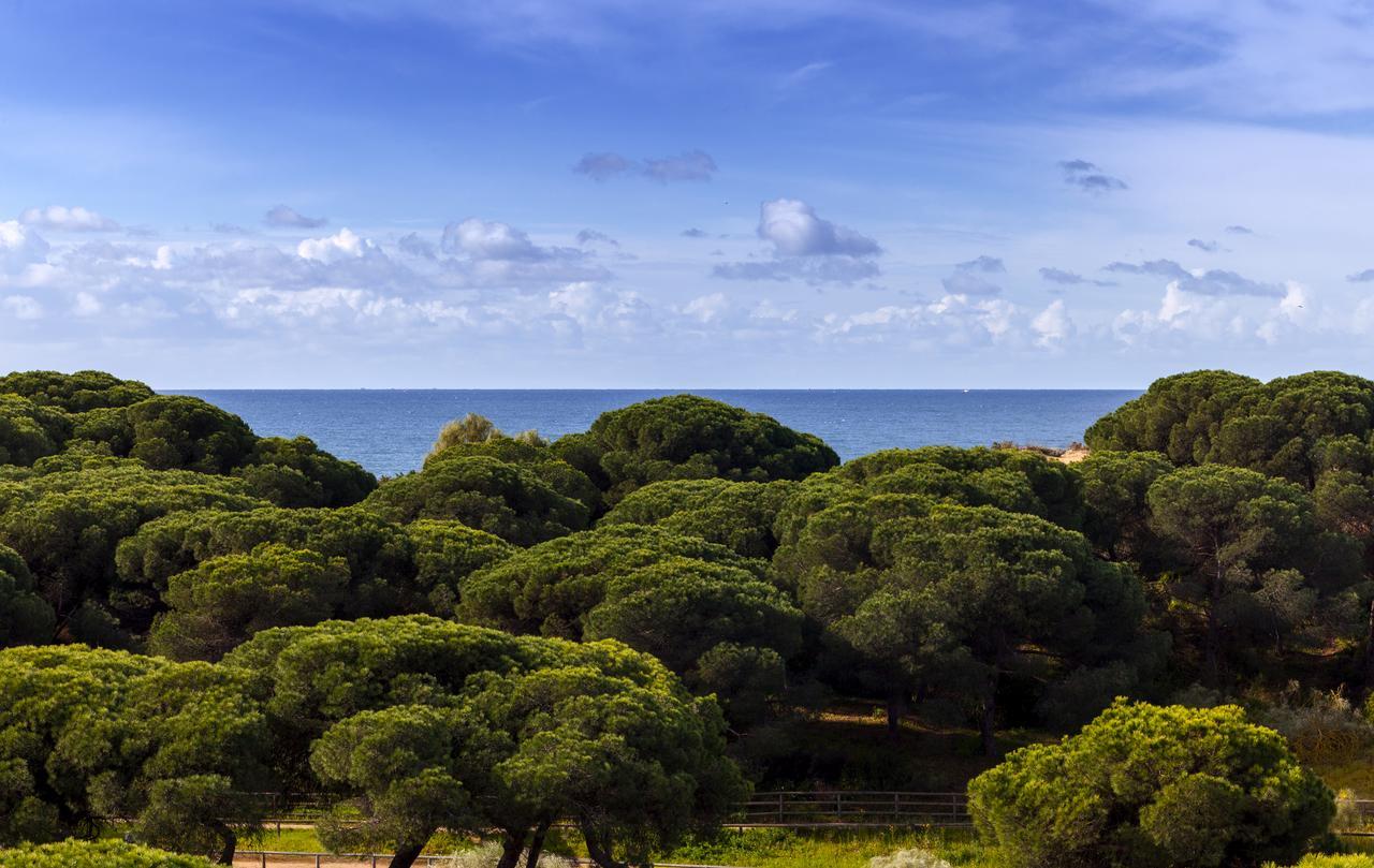 Barcelo Punta Umbria Beach Resort Exterior foto
